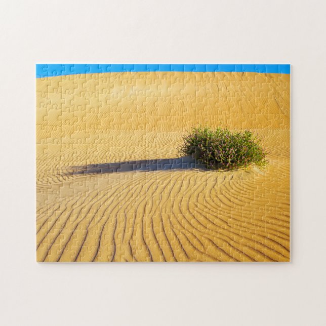 UNDERBARA OCEAN-DUNES 11 x 14 INCH Pussel (Horisontell)