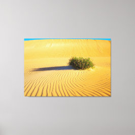 UNDERBARA OCEAN-DUNES 32 x 48 Canvastryck