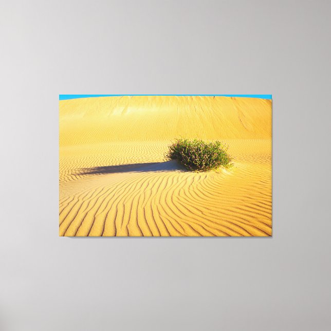 UNDERBARA OCEAN-DUNES 32 x 48 Canvastryck (Framsida)