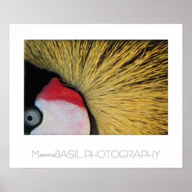 Underbara Öga Poster! Poster (Framsidan)