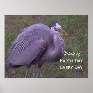 Underbara området Blå Heron Poster
