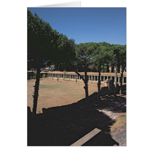 Underbara Palaestra Hälsningskort (Framsidan)