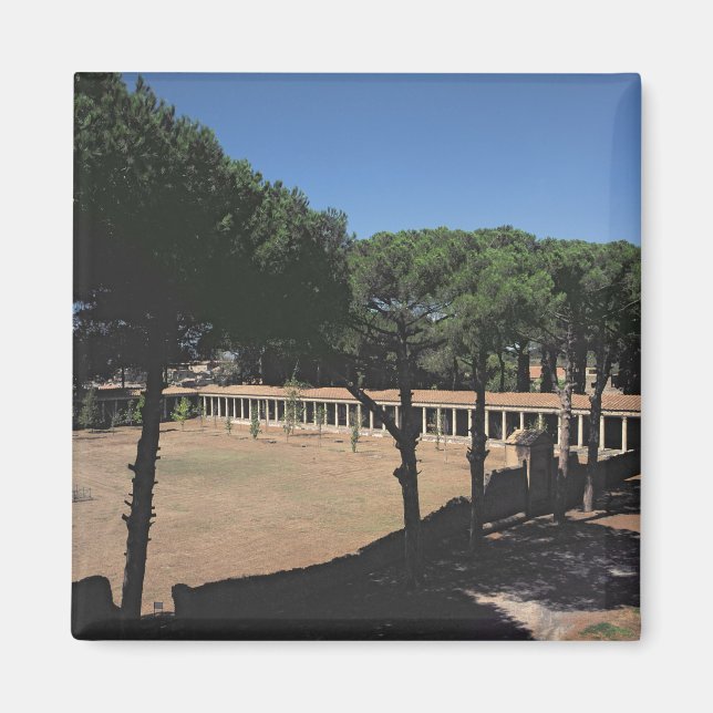 Underbara Palaestra Magnet (Framsidan)
