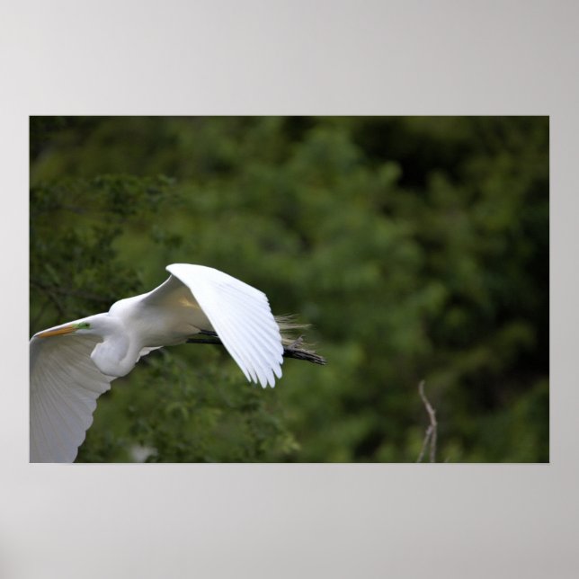 Underbara Poster för växlingsflygning (Framsidan)