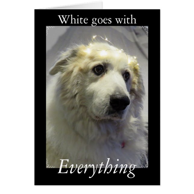 Underbara Pyrenéer, Gentle Giant Hälsningskort (Framsidan)