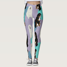Underbara Pyrenéer och Bernese Mountain Hund Leggi Leggings