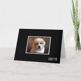 Underbara Pyrenéerna Kort