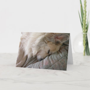 Underbara Pyrenéerna Notecard Kort