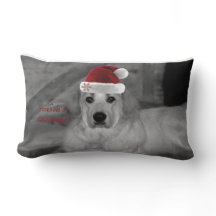 Underbara Pyrenees helgdagdekorativ kudde