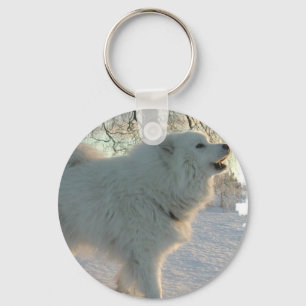 Underbara Pyrenees hund Keychain Nyckelring