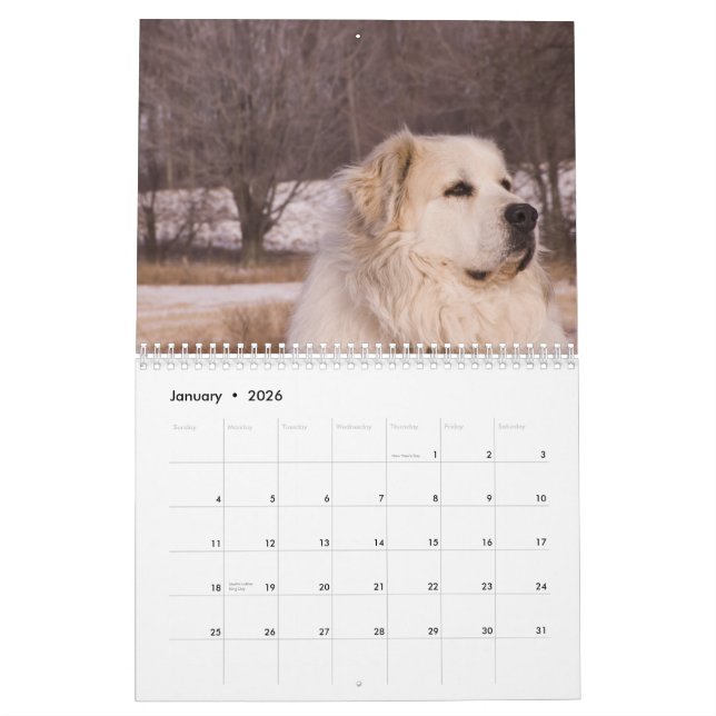Underbara Pyrenees kalender (Jan 2026)