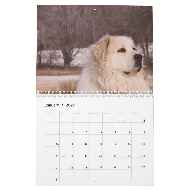 Underbara Pyrenees kalender (Jan 2027)