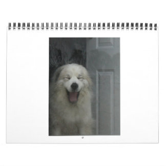 Underbara Pyrenees kalender