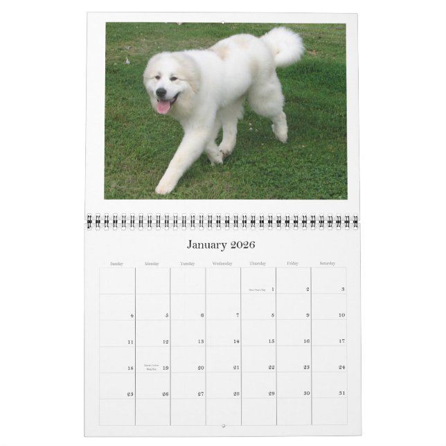 Underbara Pyrenees kalender (Jan 2026)