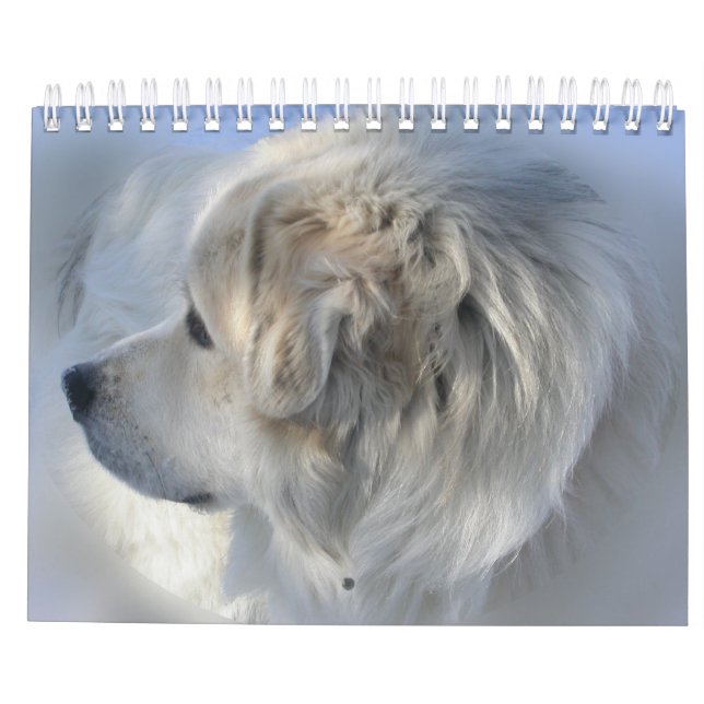 Underbara Pyrenees kalender (Baksida)