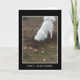 Underbara Pyrenees Kort