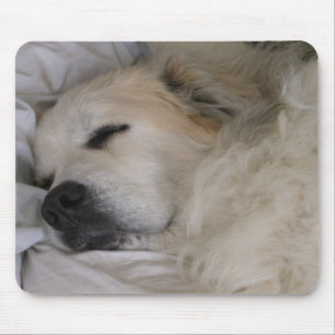 Underbara pyrenees mousepad musmatta