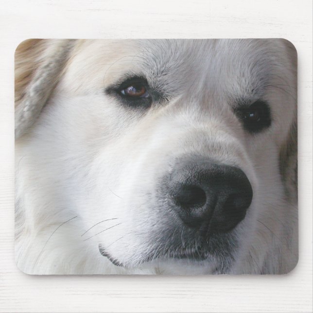 Underbara Pyrenees Mousepad Musmatta (Framsidan)