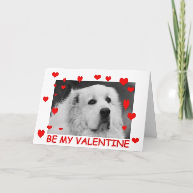 Underbara Pyrenees valentineskort Helgkort (Framsida)