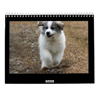 Underbara Pyrenees valpkalender Kalender