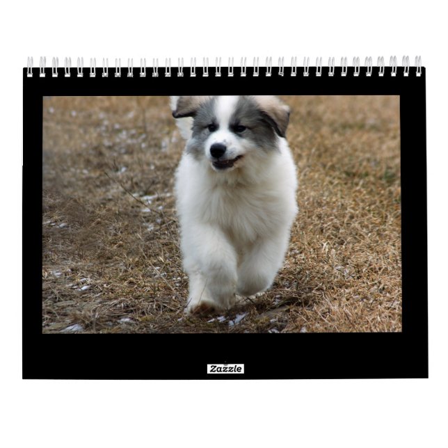 Underbara Pyrenees valpkalender Kalender (Baksida)
