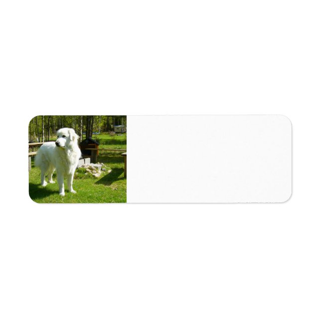 underbara pyrenner fullt 2 returadress etikett (Framsidan)