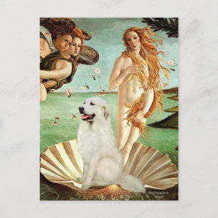 Underbara Pyrnees 1 - Venus födelse Vykort