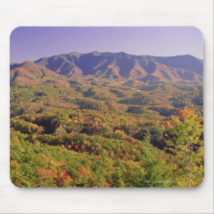 Underbara rökiga berg NP, Tennessee, USA Musmatta