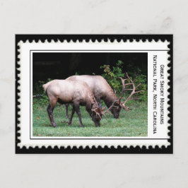 Underbara rökiga berg vykort