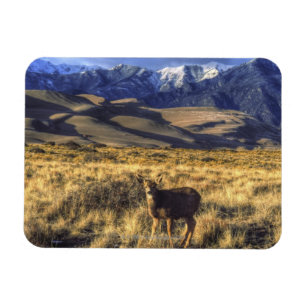 Underbara Sanddyner nationalpark, Colorado Magnet