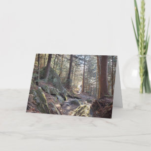 Underbara Smoky Mountains Evergreen Forest Helgdag Kort