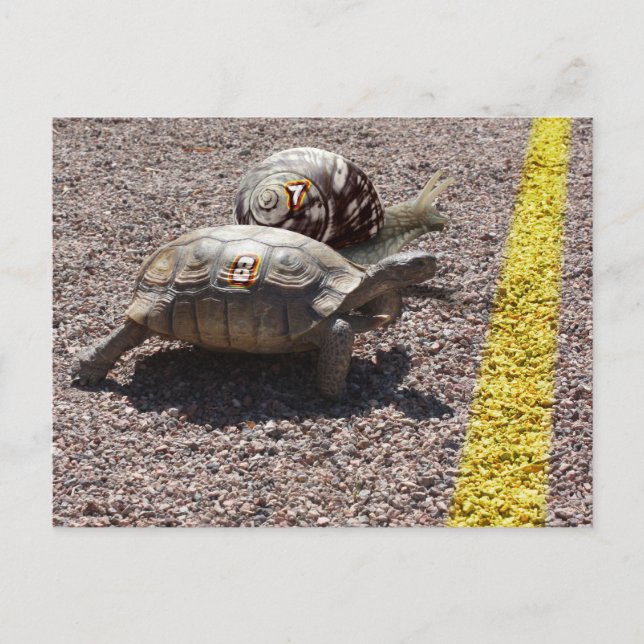 Underbara Tävling Vykort (Framsida)