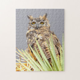 Underbara Uggla-fåglar av Bett Pussel