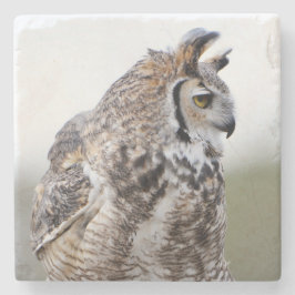 Underbara Uggla-fotoUnderlägg Stenunderlägg