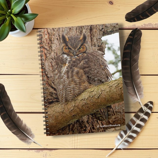 Underbara Uggla i Douglas Fir Anteckningsbok (Great Horned Owl in a Douglas Fir Journal Cover Photo)
