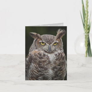 Underbara Uggla-notecard Kort