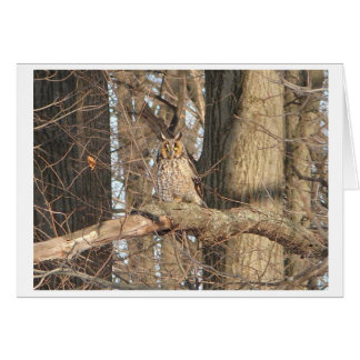 Underbara Uggla OBS Kort