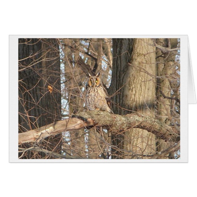 Underbara Uggla OBS Kort (Framsidan Horizontal)