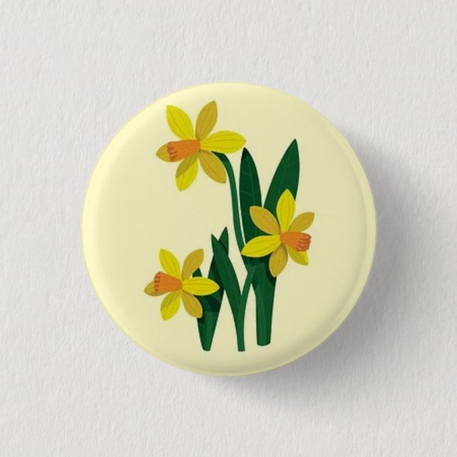 Underbara Underbara vackra Gulter Narcissus Knapp (Framsida)