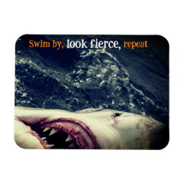 Underbara vita hajkäkar magnet