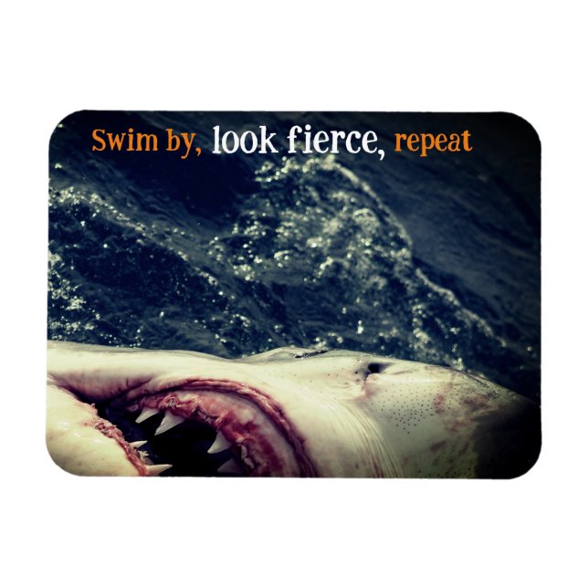 Underbara vita hajkäkar magnet (Horisontell)