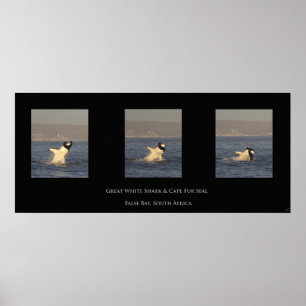 Underbara vitmärken poster