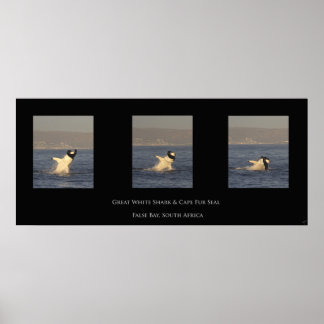 Underbara vitmärken poster