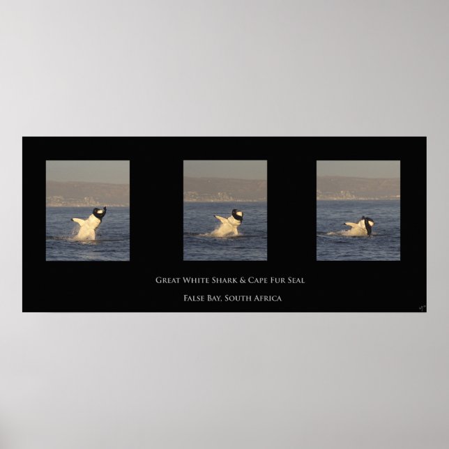 Underbara vitmärken poster (Framsidan)