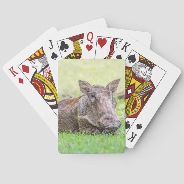 Underbara Warthog som leker kort Casinokort (Baksidan)