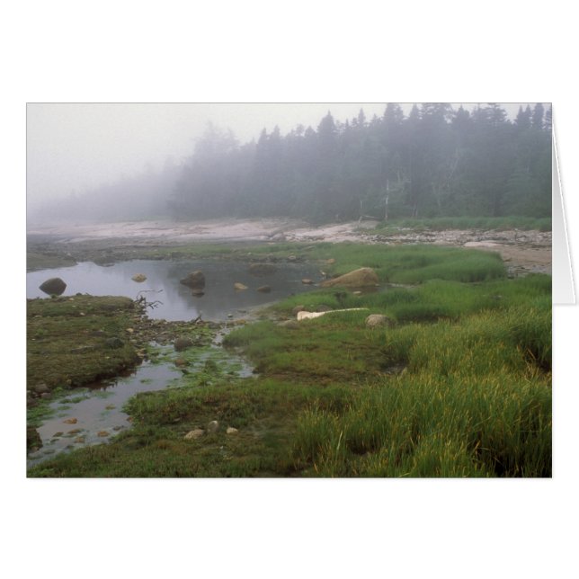 Underbara Wass Island Maine Hälsningskort (Framsidan Horizontal)