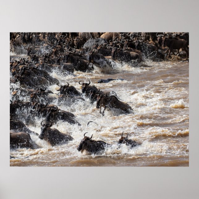 Underbara Wildebeest Crossing - Mara River Safari Poster (Framsidan)