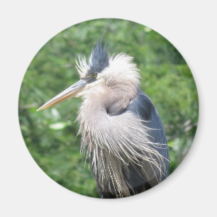 Underbarare Blå Heron-magnet Magnet