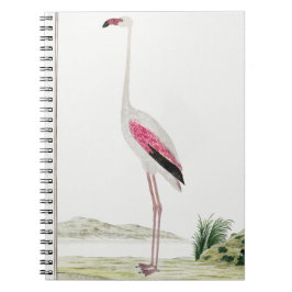 Underbarare Flamingo Anteckningsbok