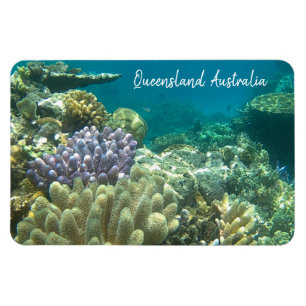 underbarare hindervall magnet